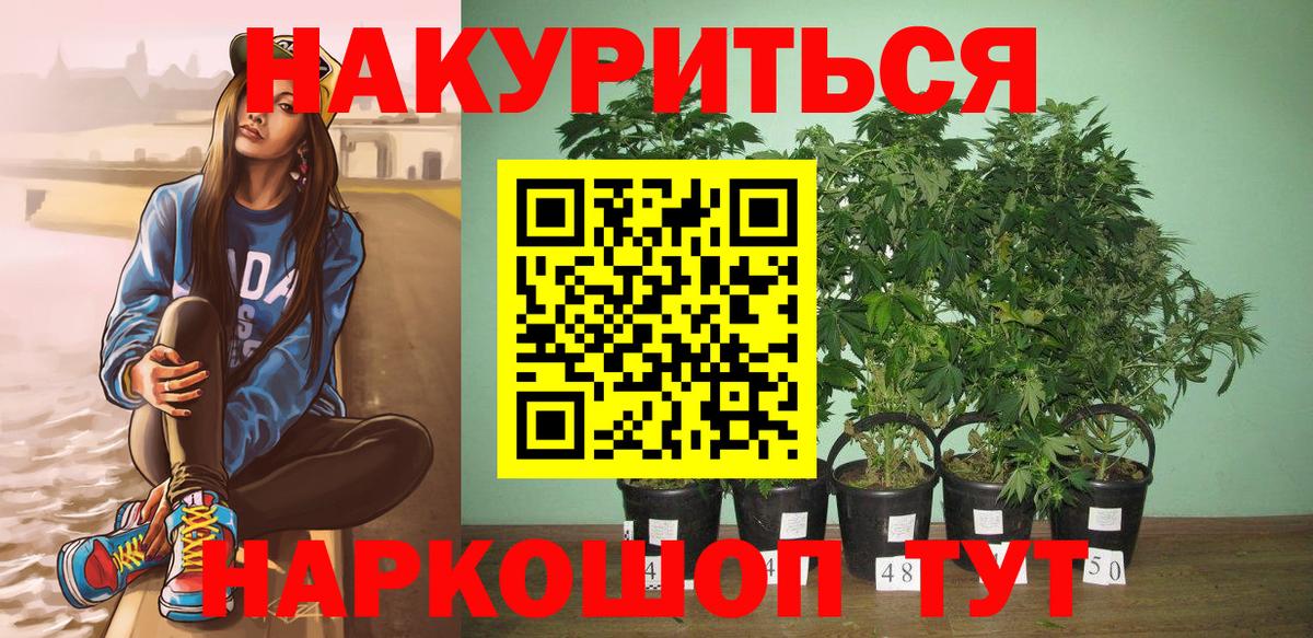 Ивантеевка  Бошки Шишки OG Kush  Бошки Шишки Ganja  Конопля конопля  Вход с VPN 